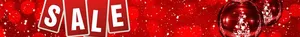 leaderboard_PALACE_12676_BOOMERS_728X90