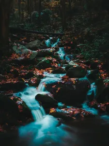 SAM_3910
