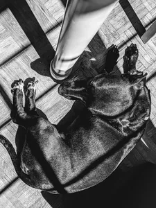 Furniture Feet
