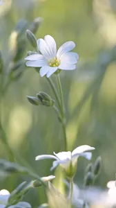 20140419_181423