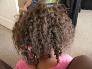Braided Twist: Protective Style