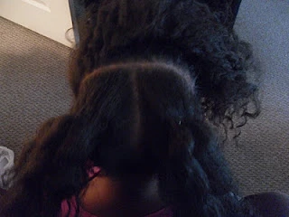 Braided Twist: Protective Style