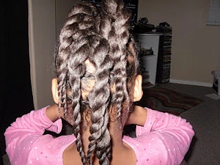 Braided Twist: Protective Style