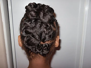 Braided Twist: Protective Style