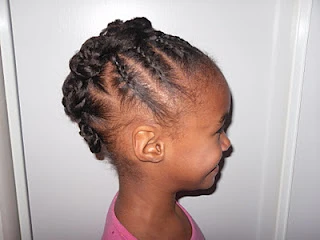 Braided Twist: Protective Style
