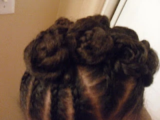 Braided Twist: Protective Style