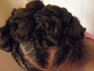 Braided Twist: Protective Style