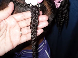 Braids & Twists