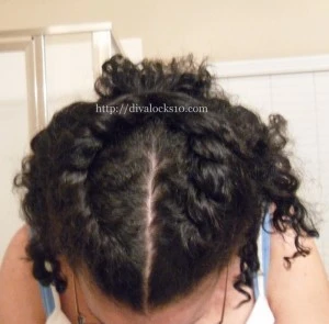 Wavy Braid Out