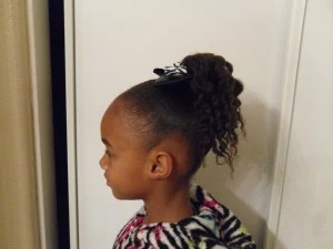 Twist Out Ponytail