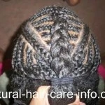 April Hair Carnival: Copy Cat Style