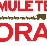 20 Mule Team Borax Detergent Booster Review & Giveaway 3 winners! Ends 06/20