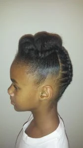 Braided Twisted Updo on Natural Hair