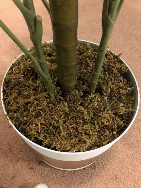 planter makeover