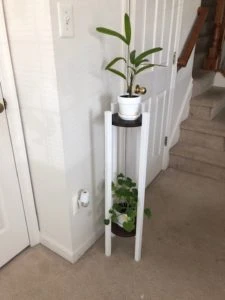 Plant Stand