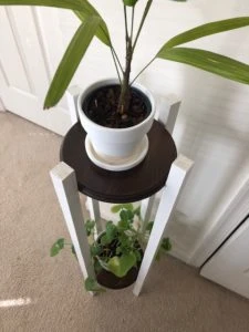 DIY Plant Stand