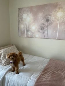Photowall Canvas Print